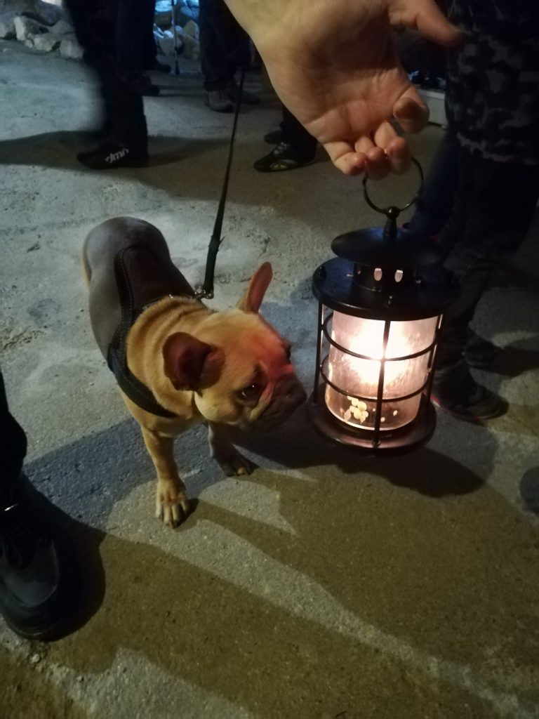 Séjour insolite avec votre chien