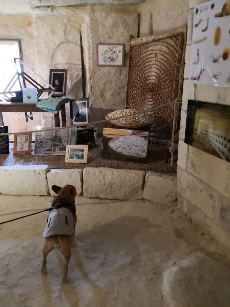 La Magnanerie, site troglodytique chien accepté