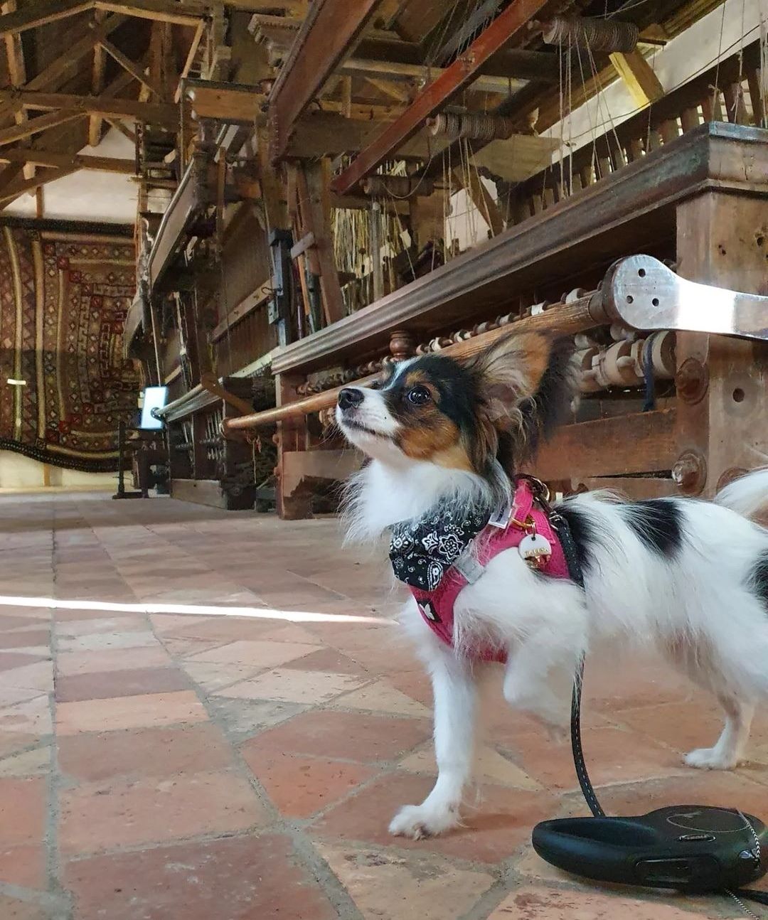 Musée des Métiers de St Laurent de la Plaine en Anjou