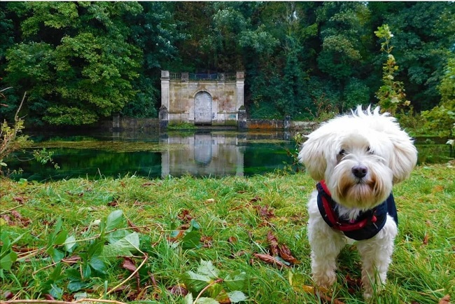 Parc Vaudry Fontaine