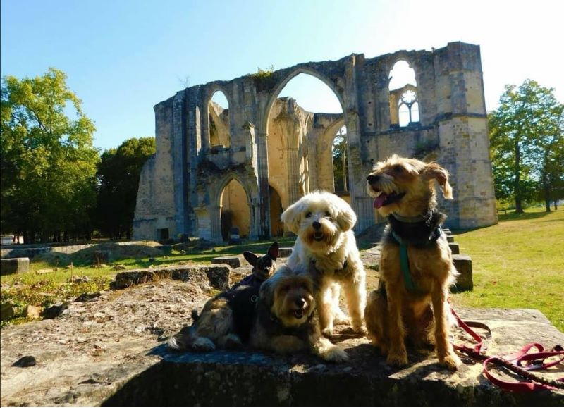 Abbaye Royale Notre Dame du Lys