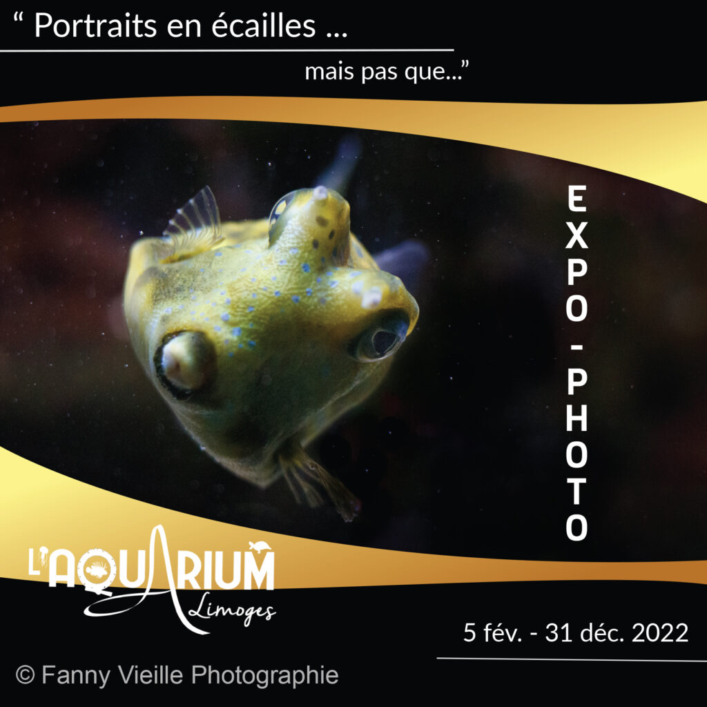 aquarium qui accepte les chiens