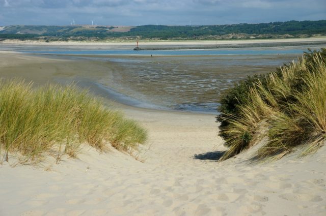 Baie de Canche