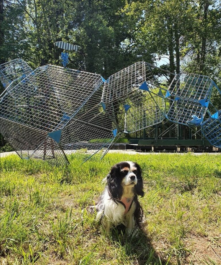 Ou Promener Son Chien A Brest Le Canal de Nantes | Tourisme avec mon chien