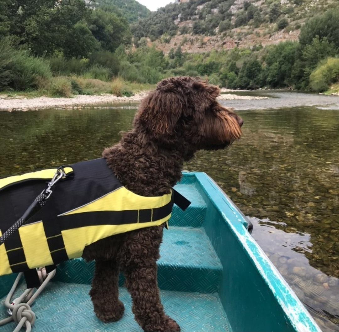 bateliers gorges du tarn accepte chien