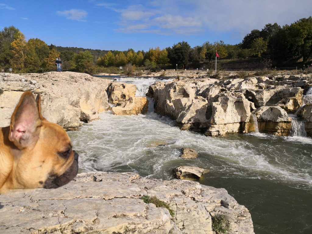 cascade du sautadet chien