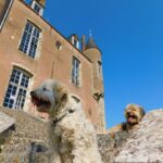 château de bellegarde avec chien