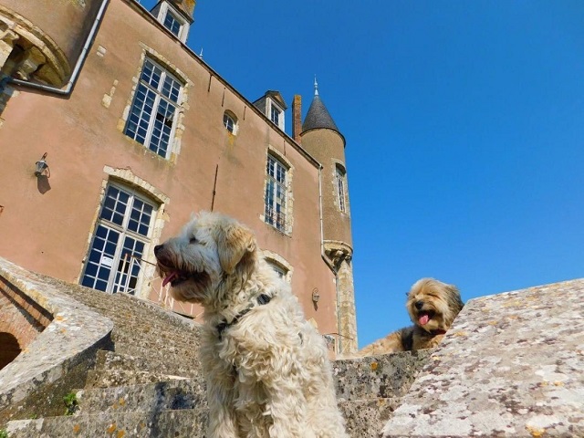 château de bellegarde avec chien