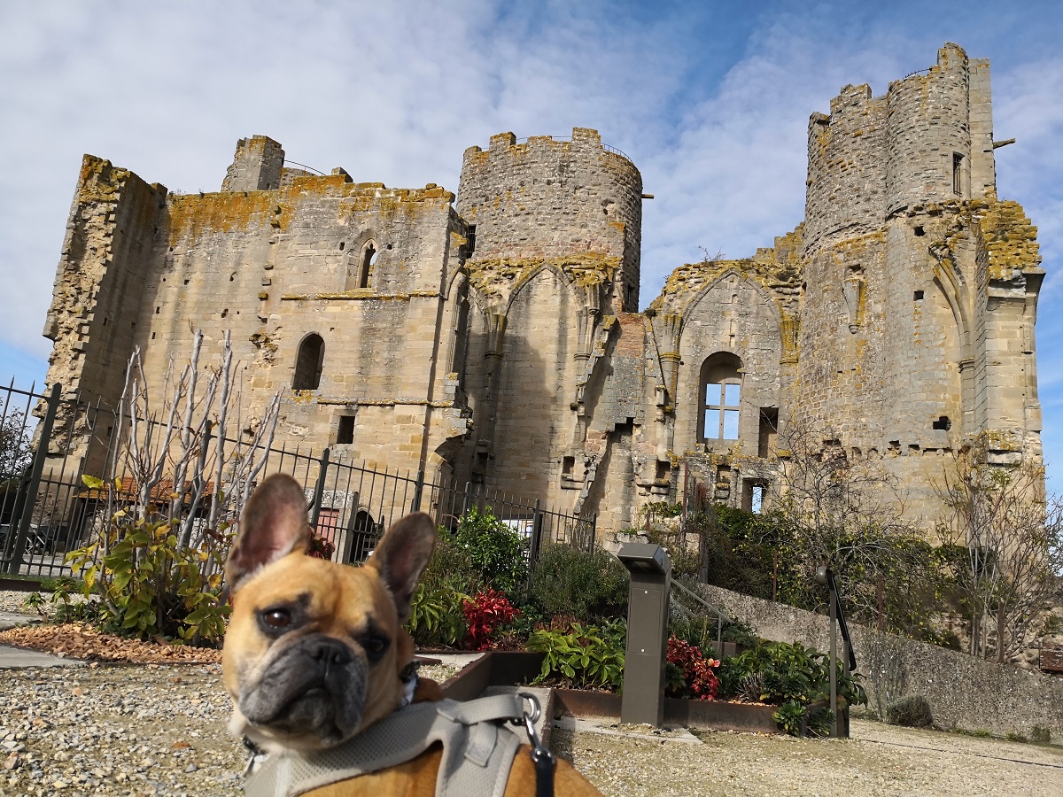 Château de Bourbon-l'Archambault