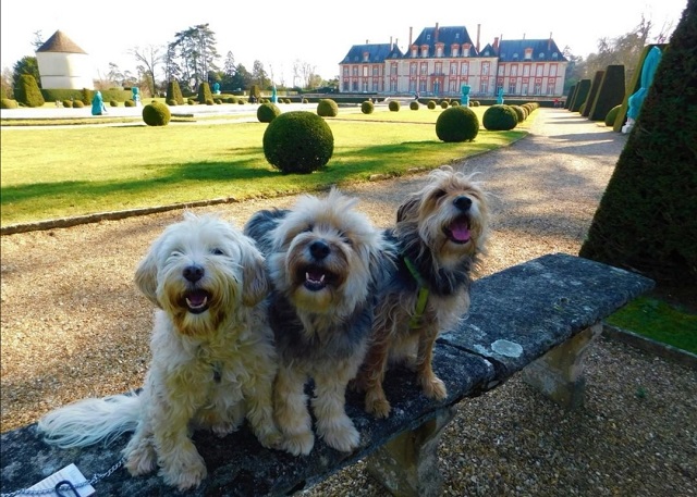 Château de Breteuil