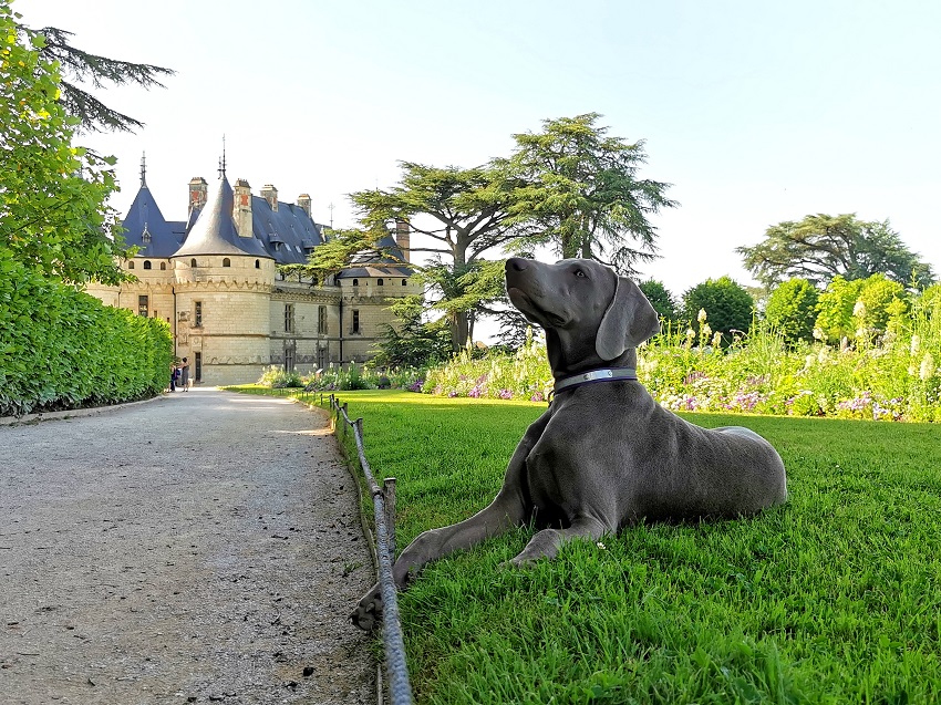 Château de Chaumont