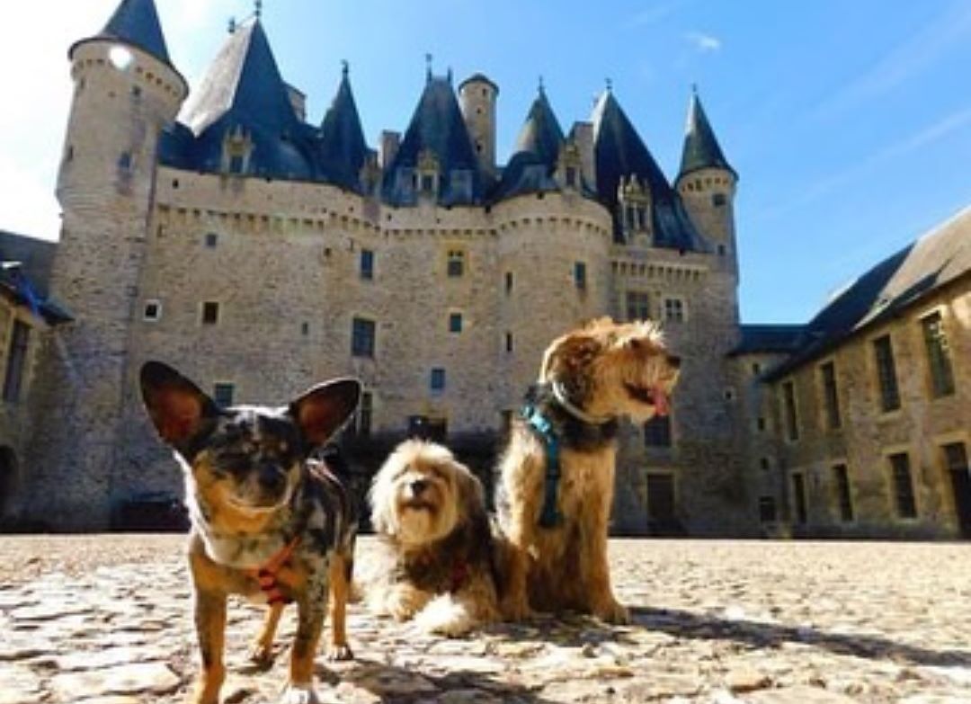 Château de Jumilhac et ses jardins