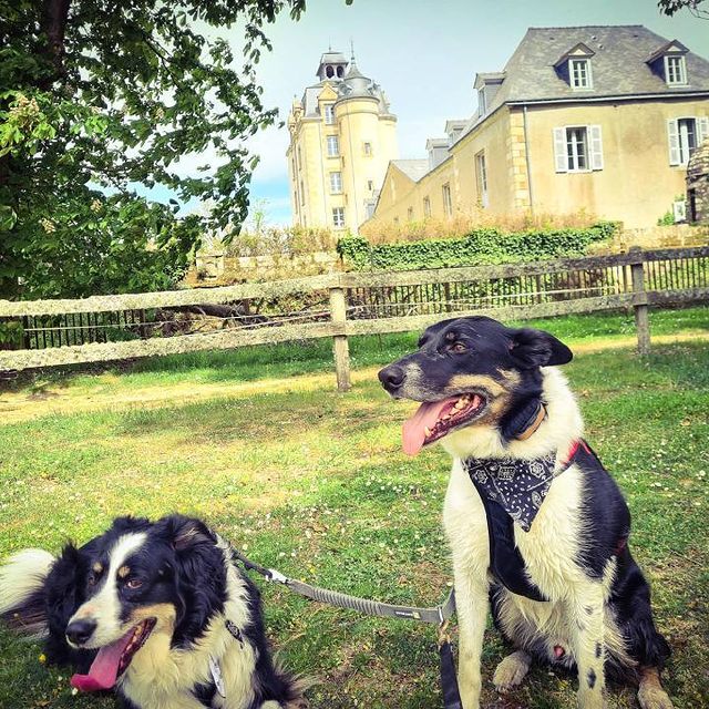 château de keravéon avec chien