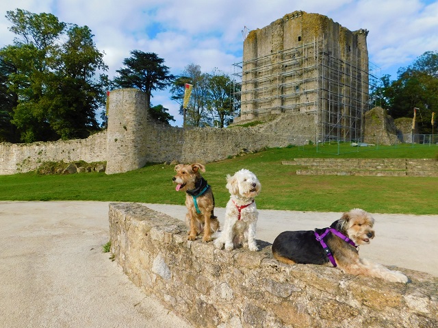 Château de Pouzauges