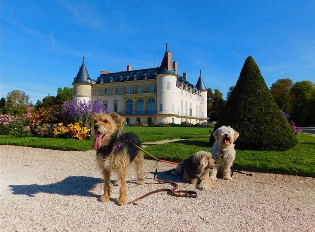 Château de Rambouillet