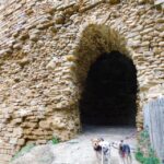 château dogfriendly en vendée