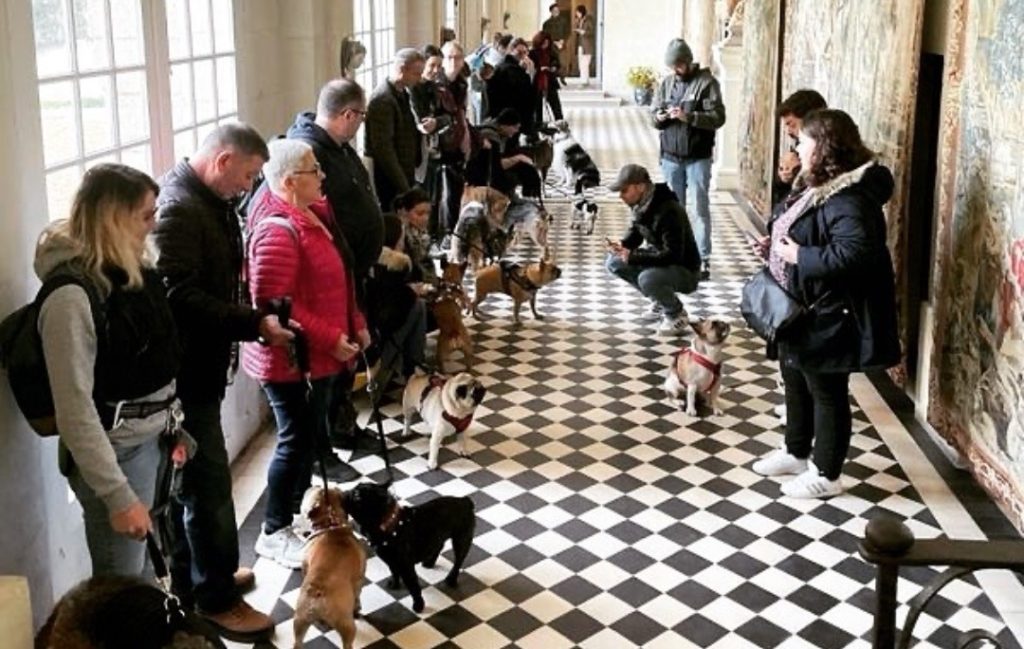 château ussé accepte chien