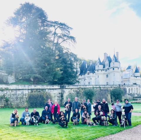 château ussé chien admis