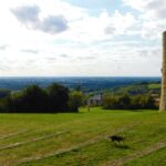 chien qui visite un château en vendée