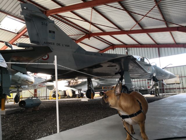 musée aviation montélimar acceptenles chiens