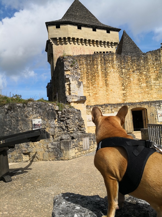 les plus beaux châteaux à visiter avec votre chien