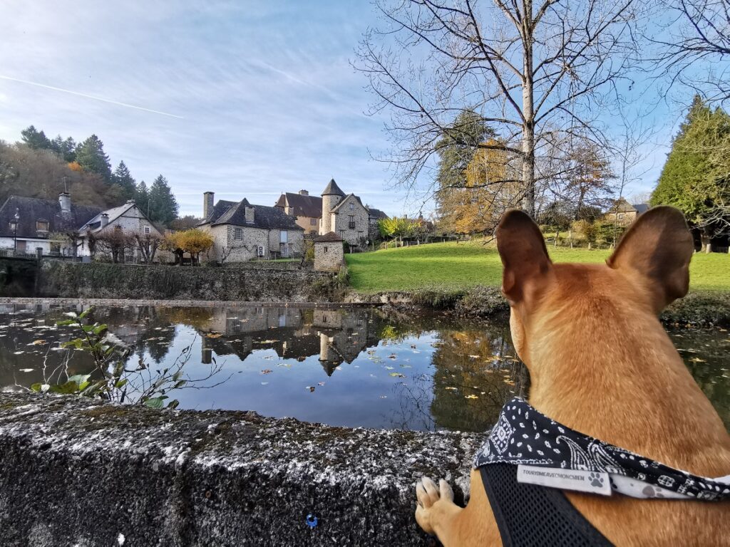 découvrir la corrèze avec un chien