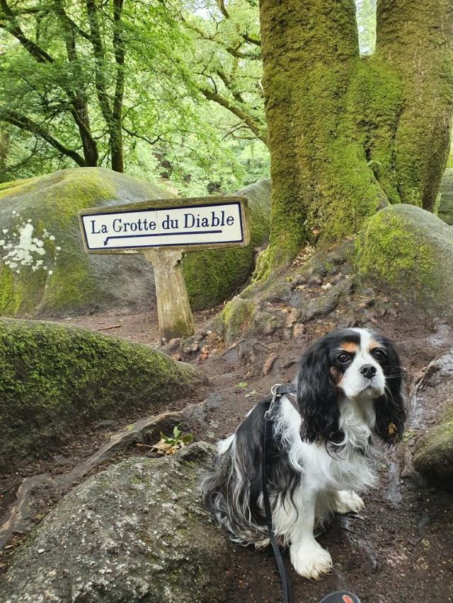 Forêt de Huelgoat