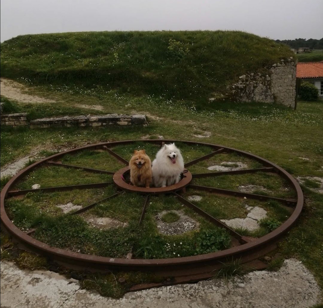 Fort La Prée