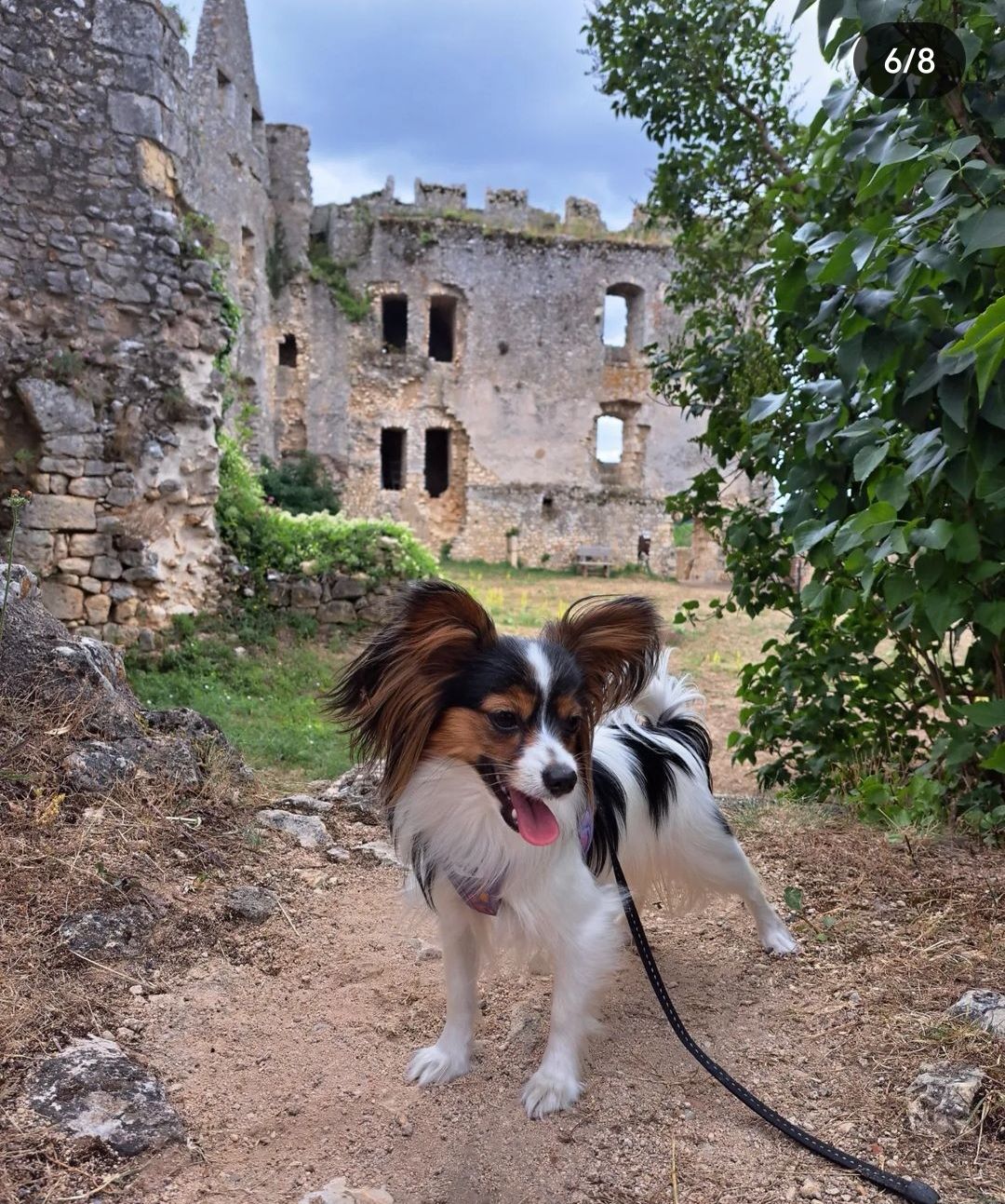 Forteresse d'Angles-sur-l'Anglin