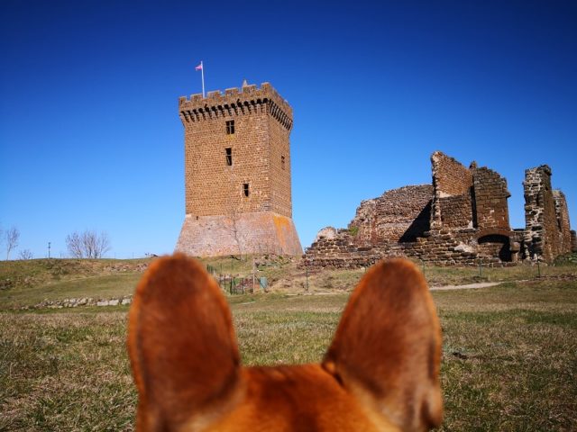 l'auvergne avec votre chien