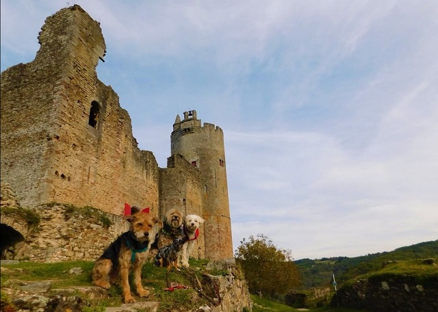 Forteresse Royale de Najac