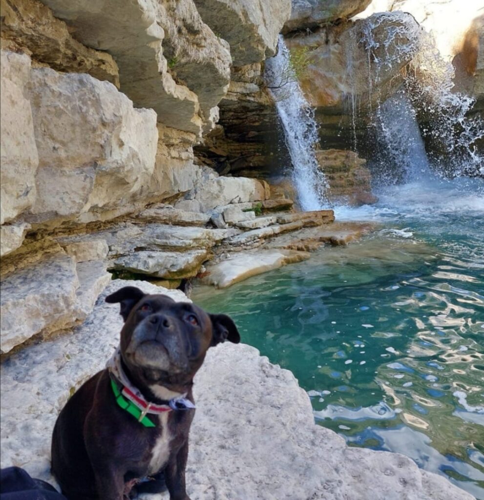 gorges de la méouge avec chien