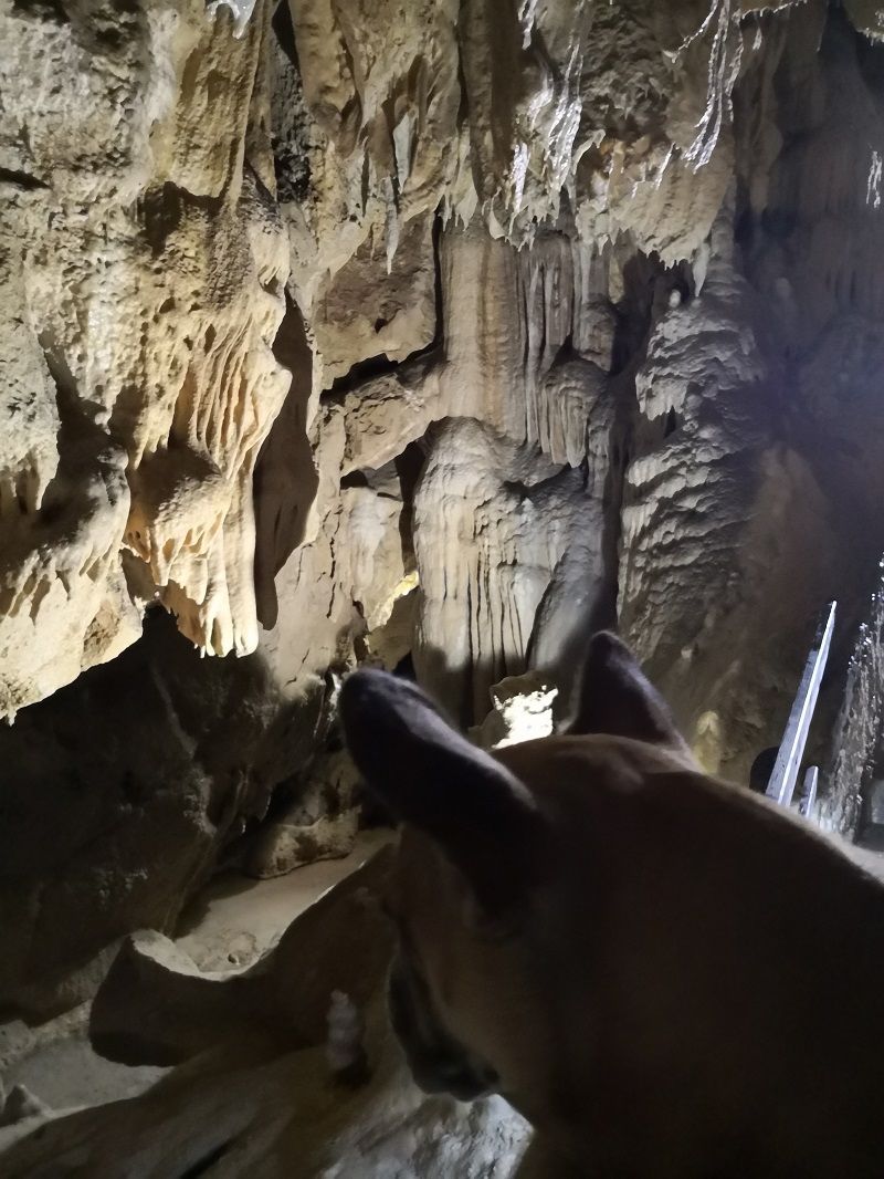 Grottes du Cerdon - Parc de loisirs préhistoriques
