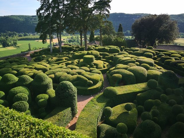 jardins de marqueyssac chien