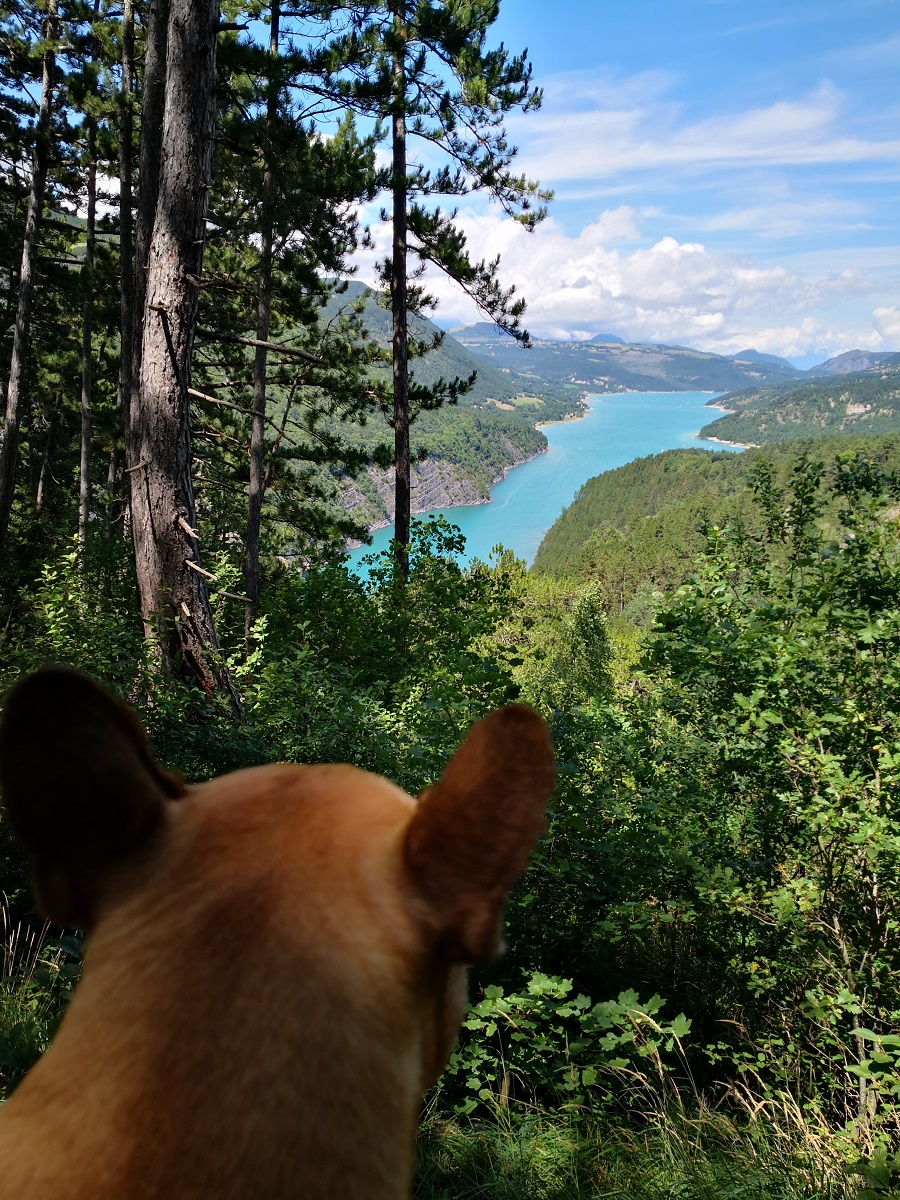 Lac de Monteynard-Avignonet