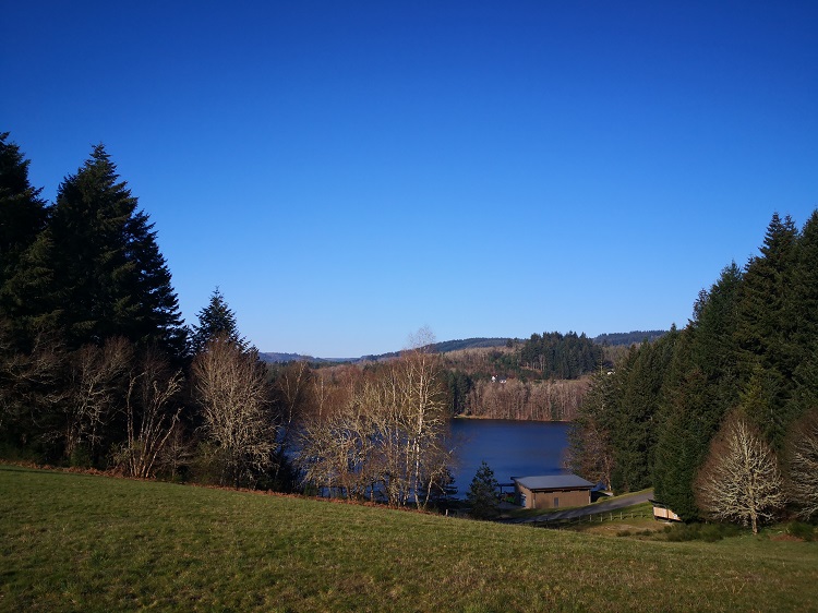 lac de sèchemaille avec chien