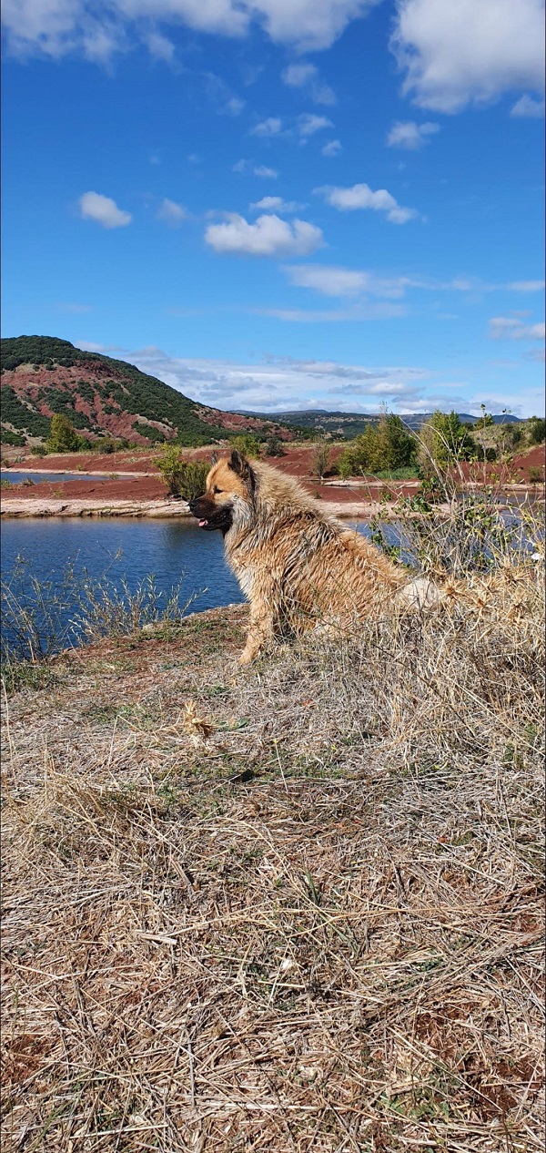 Lac du Salagou