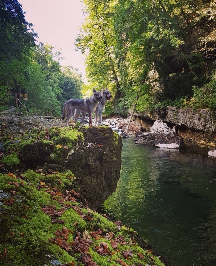 Sentier des pertes de la Valserine