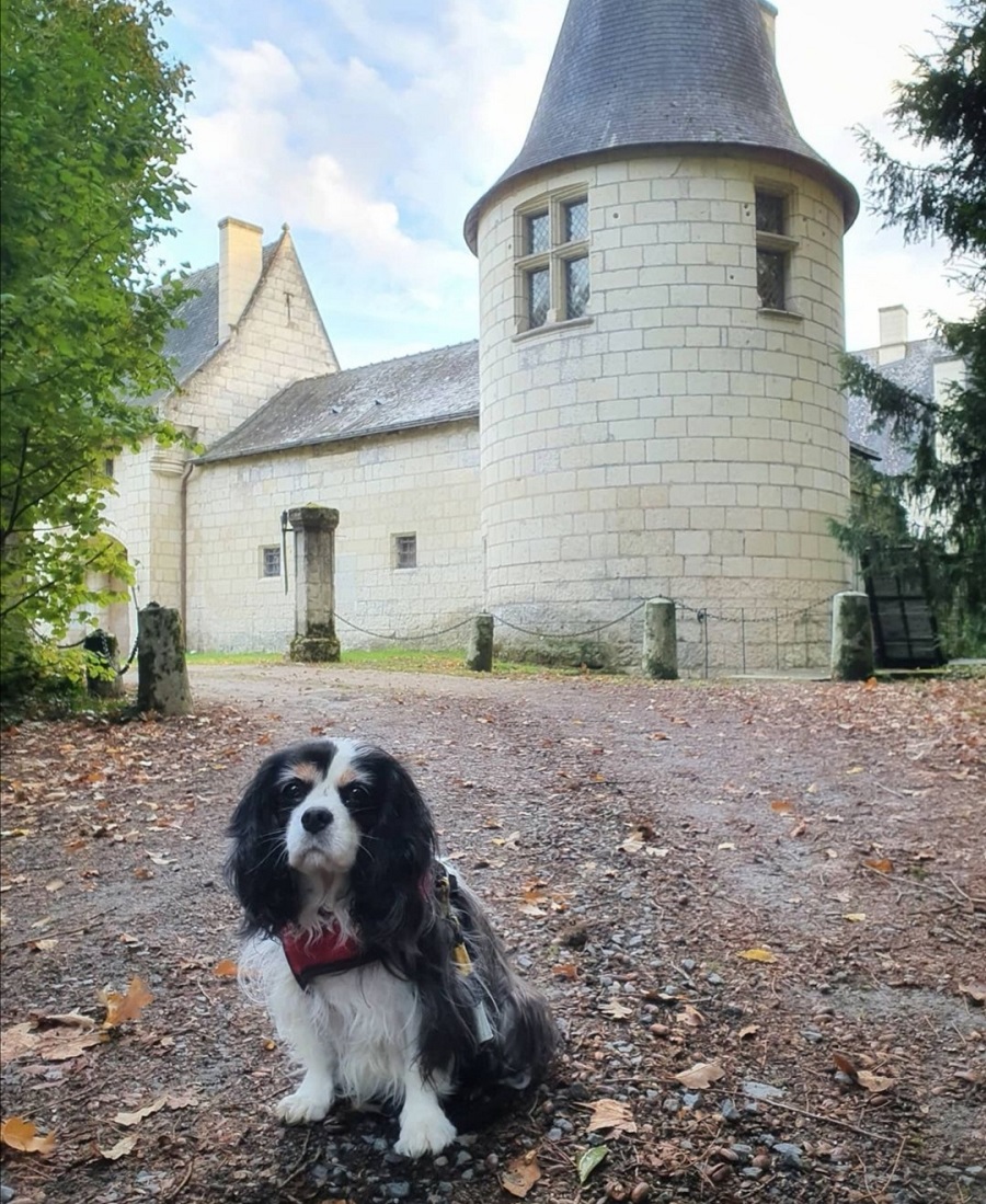 Manoir de Launay