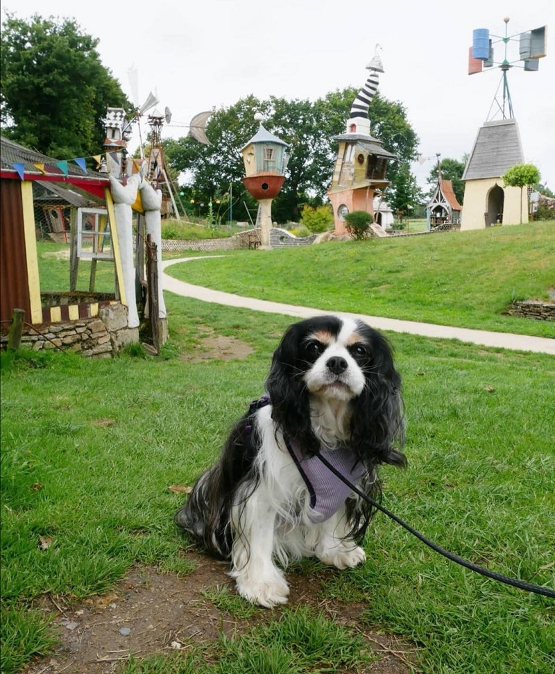 musée du poète ferrailleur chien accepté