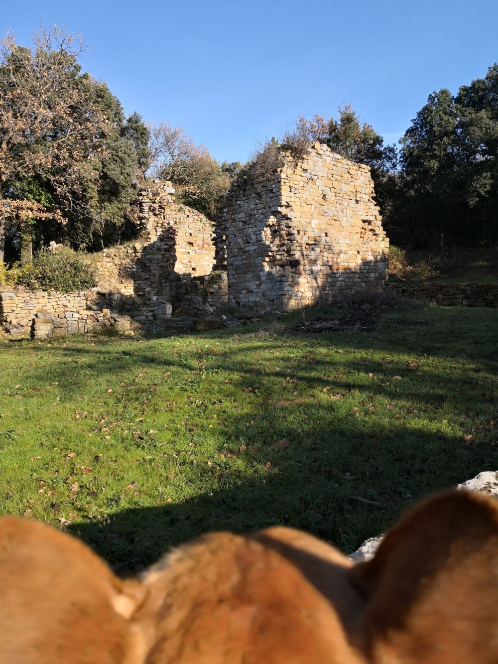 Oppidum Saint Vincent