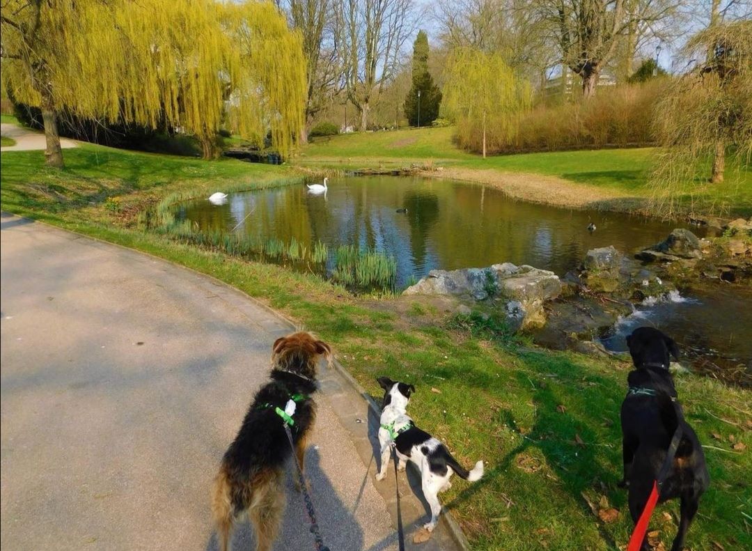 parc barbieux chien accepté