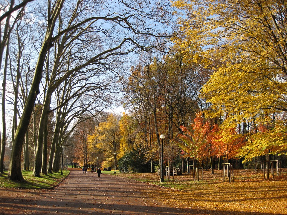 Parc de la Tête d'Or