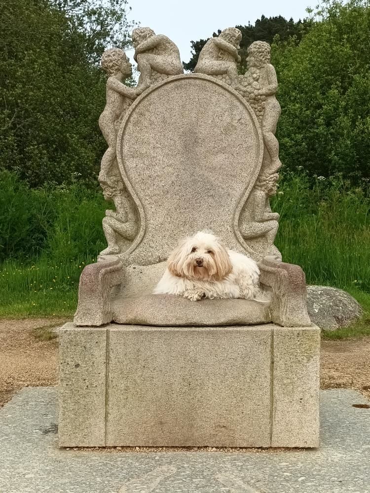 parc des sculptures Christian Gad et Daniel Chhé chien accepté