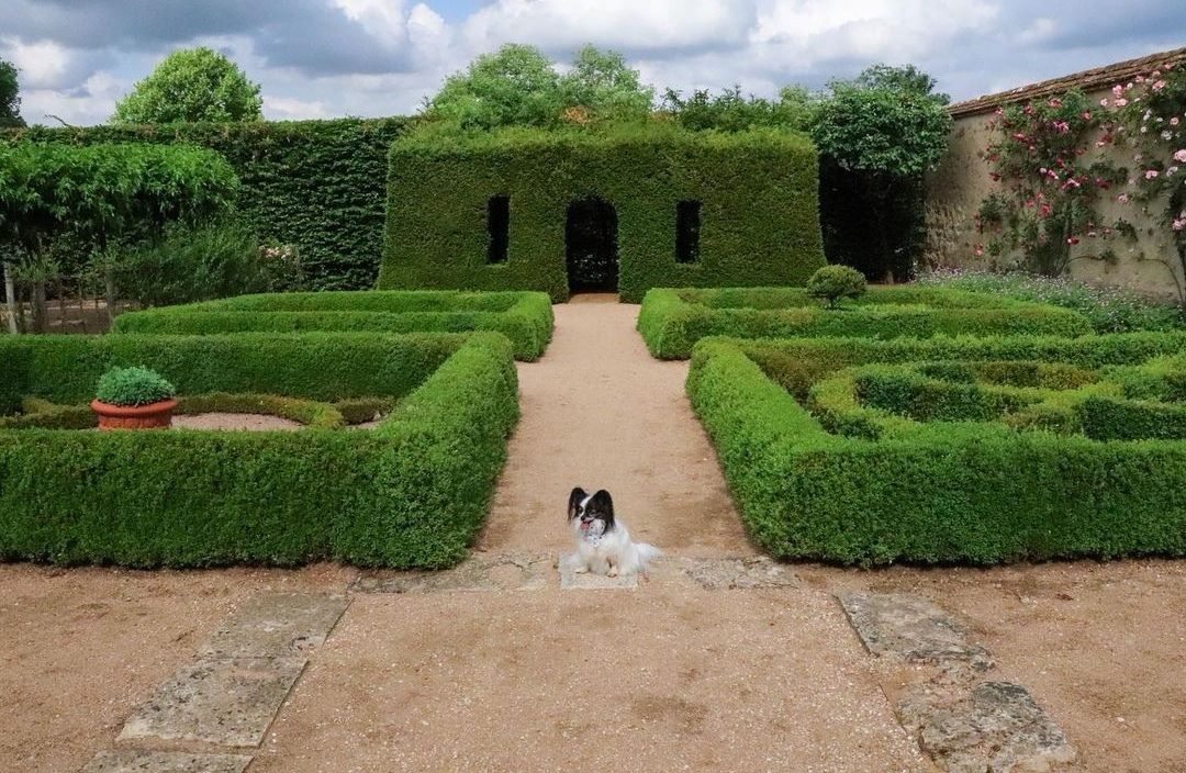 Château d'Ainay-le-Vieil