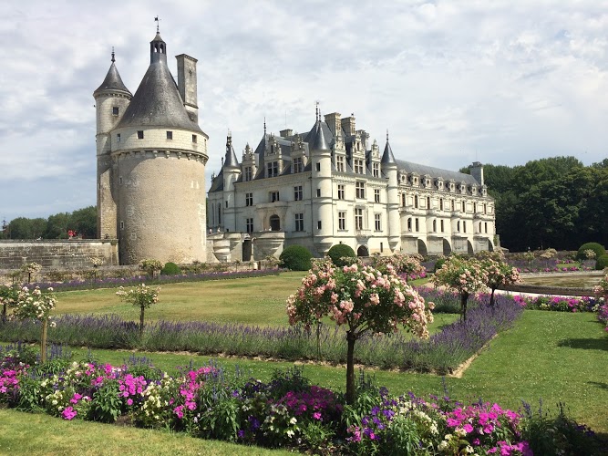 château de chenonceau avec chien