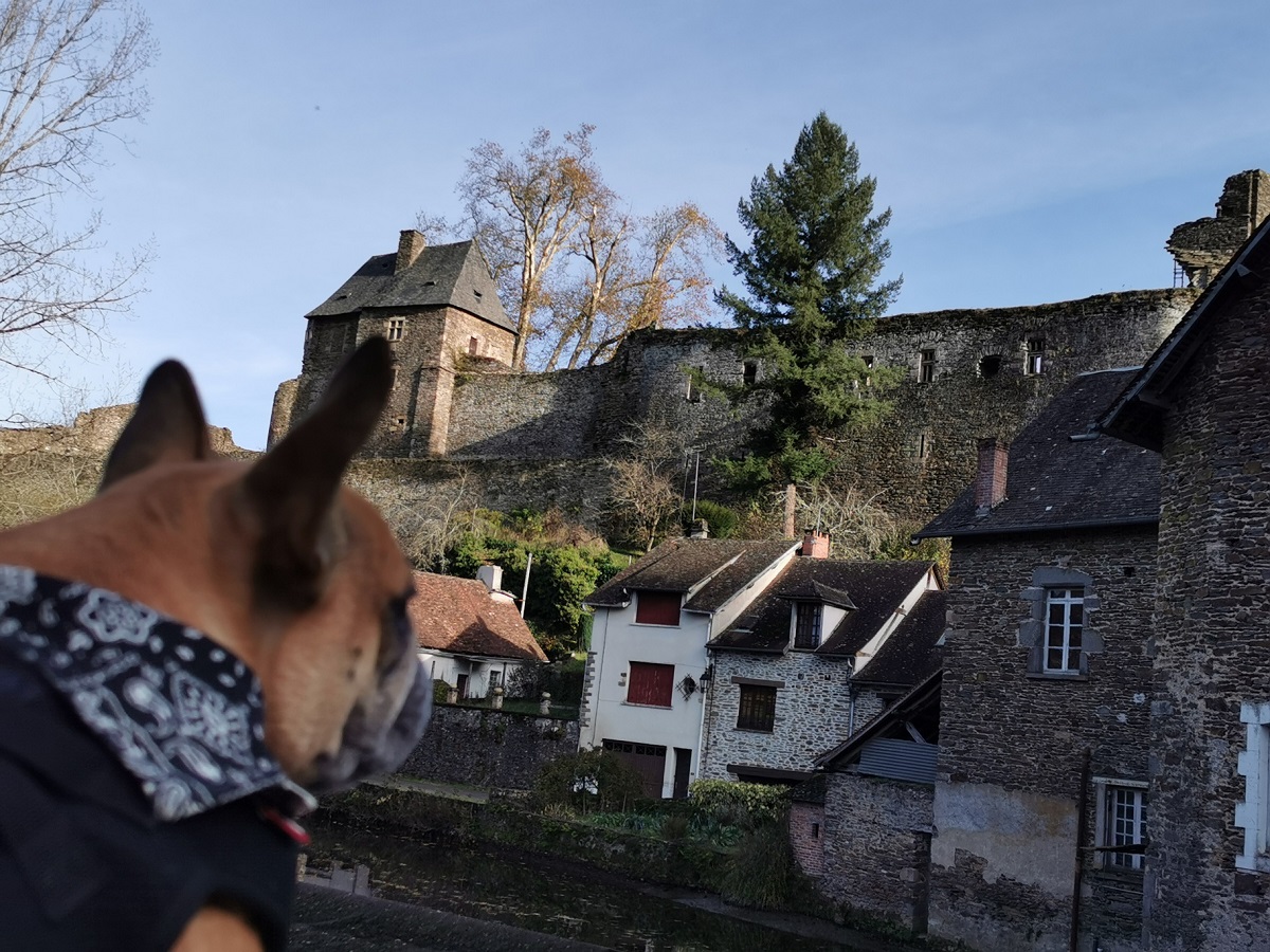 ségur-le-château avec chien