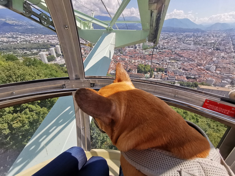 téléphérique de grenoble bastille avec chien