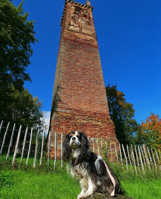 tourisme avec mon chien en Val-de-Loire pile de cinq mars