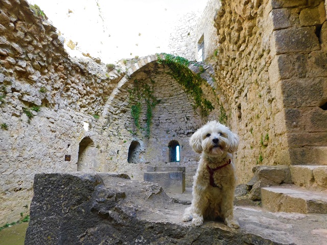 Château de Peyrepertuse